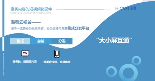三晉論道，共話(huà)未來(lái) ?？垂煞菰S璐璐談精品垂類(lèi)內(nèi)容產(chǎn)業(yè)化與河北網(wǎng)站開(kāi)發(fā)的協(xié)同發(fā)展
